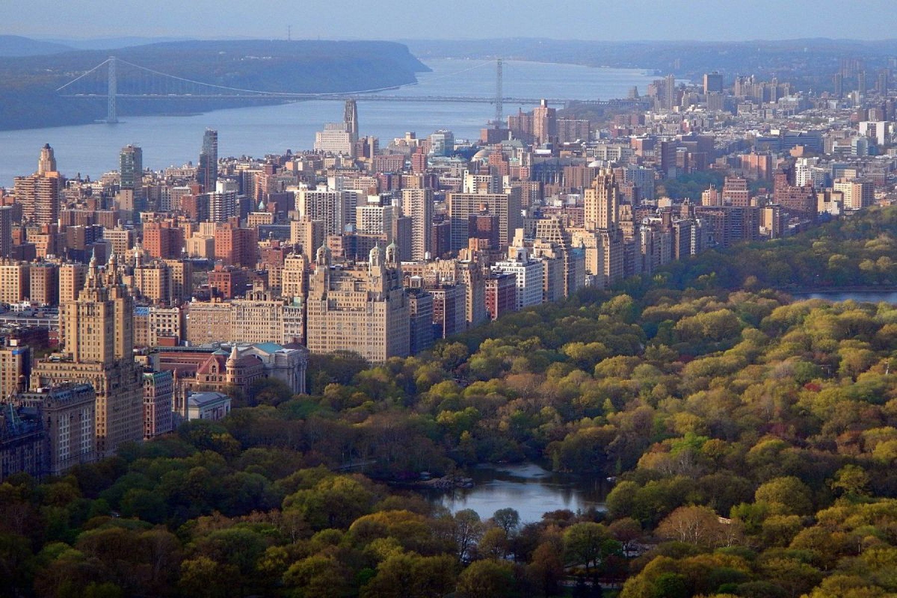 Central Park-Michael Rocha de Pexels