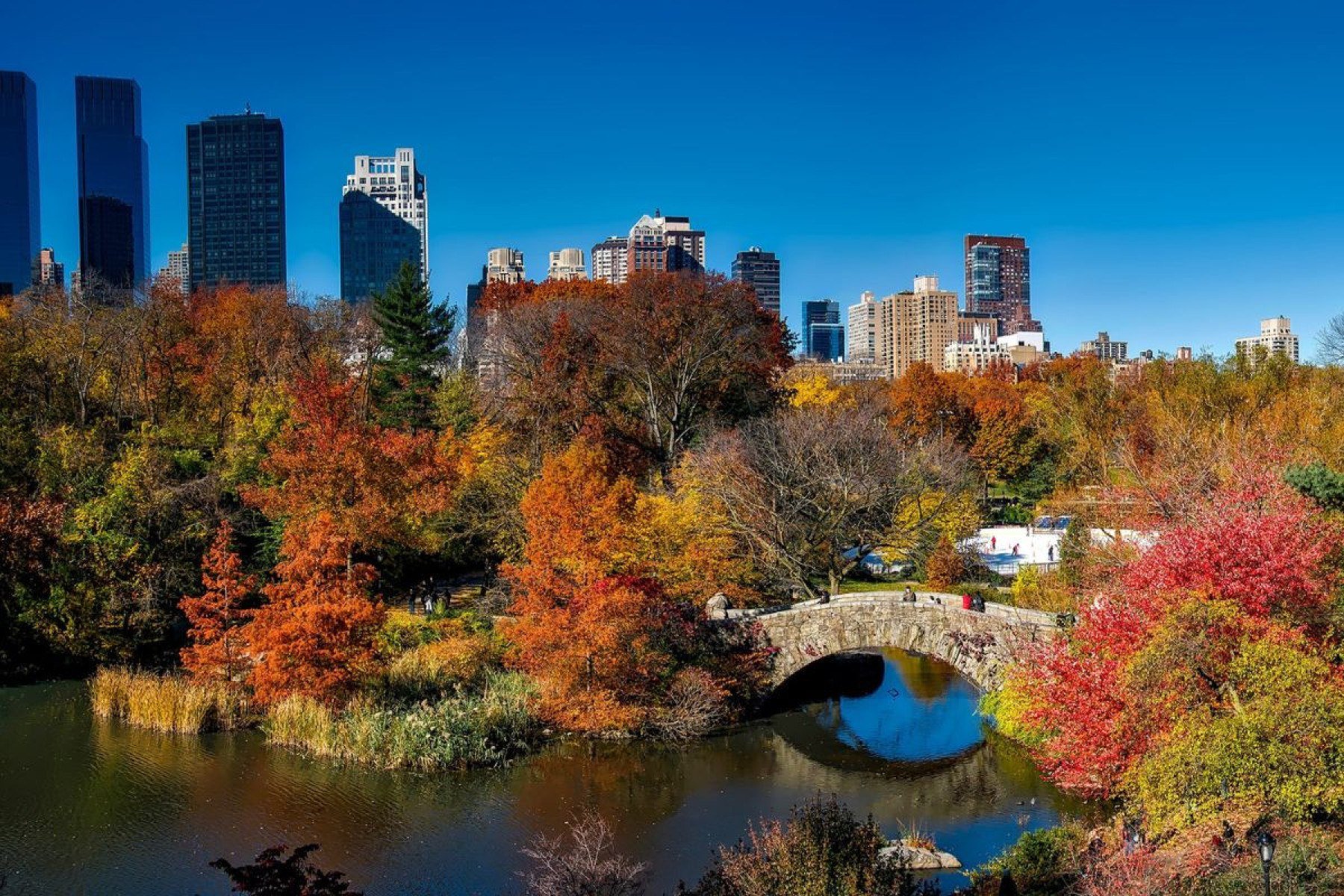 Central Park-12019 de pixabay