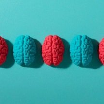 Dia do Cérebro: live gratuita aborda prevenção para uma geração ansiosa - Freepik