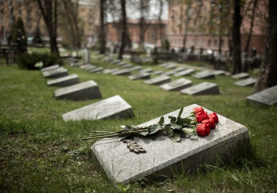 Reprodução/ Freepik