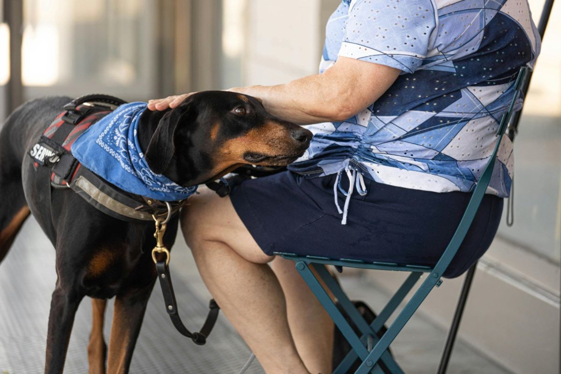 É possível estruturar uma disposição de última vontade que, na prática, blinde o futuro do seu pet.