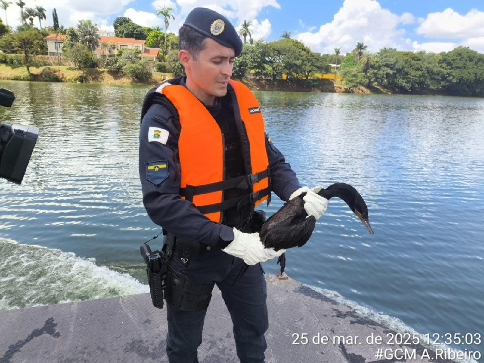 O número de animais domésticos e silvestres resgatados pela Guarda Civil em 2025 já supera, em apenas seis meses, o total registrado ao longo de todo o ano passado-Reprodução/PBH