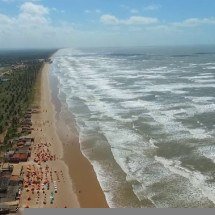 Espécie misteriosa de tubarão com ‘boca gigante’ é encontrada em praia de Sergipe - Reprodução Youtube