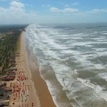 Espécie misteriosa de tubarão com "boca gigante" é encontrada em praia de Sergipe - Reprodução Youtube