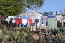ALMG mostra protagonismo na solução definitiva da dívida do Estado