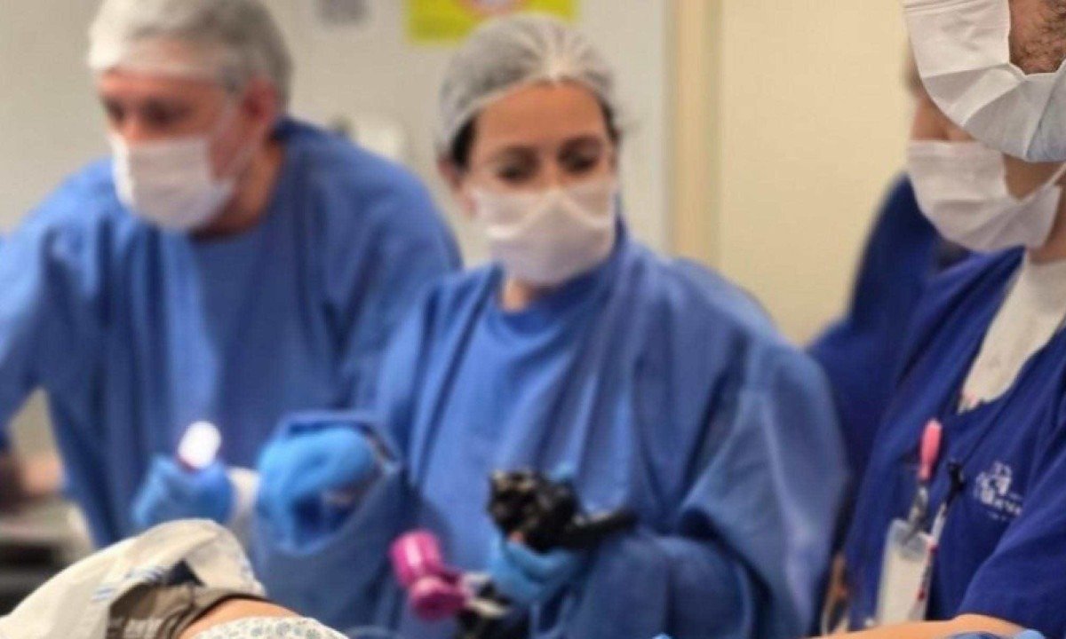 Técnica representa um avanço no tratamento de lesões profundas do trato gastrointestinal -  (crédito: Hospital Madre Teresa/ Divulgação)