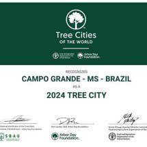 Cidade brasileira volta a receber título de mais arborizada do mundo -  Divulgação