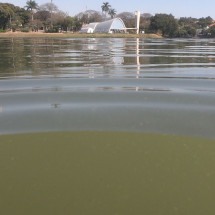 Navegação na Lagoa da Pampulha será liberada até fim do ano, diz prefeito