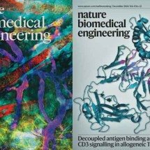 Vacina universal contra o câncer avança em experimentos com RNA mensageiro -  Divulagação