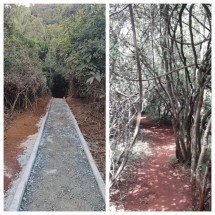 Poda de pitangueiras no Parque da Serra do Rola-Moça gera insatisfação - Reprodução/Ricardo de Souza