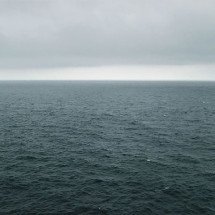 Curiosos e pitorescos; conheça peixes das profundezas dos oceanos - jjm596 wikimedia commons 