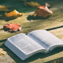 Sabia? País comunista, sem religião, China tornou-se o maior impressor de Bíblias no mundo - Imagem de Pexels por Pixabay 