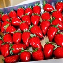 Morango do amor: bombom crocante da fruta vira febre e muda rotina de confeitarias - Divulgação Millena Moreira 