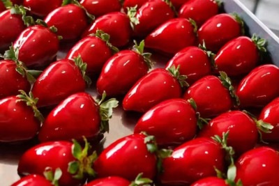 Brilho, cor e crocância: o morango do amor é a nova estrela das sobremesas artesanais -  (crédito: Divulgação/Milena Moreira)