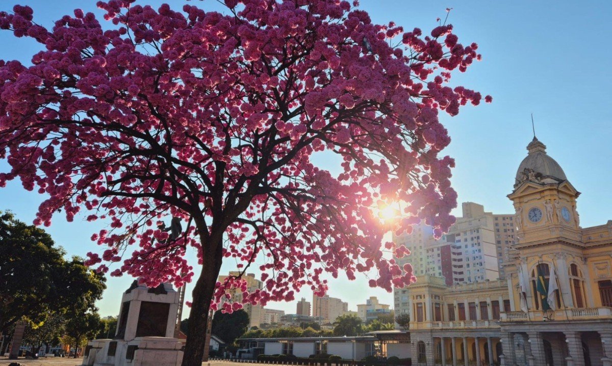 Temperatura mínima registrada na capital foi de 12,8 °C, com sensação términa de 8,7ºC -  (crédito: Jair Amaral/EM/D.A. Press)