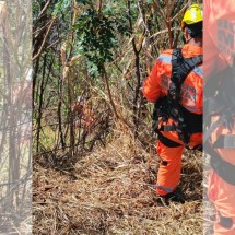 BH: homem tenta resgatar cachorro que caiu em barranco e fica preso junto - Divulgação/Corpo de Bombeiros