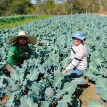 Homenagem a quem trabalha no campo e alimenta a cidade