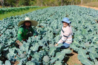 Homenagem a quem trabalha no campo e alimenta a cidade