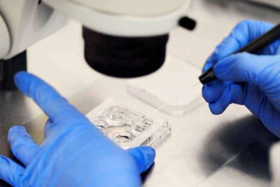 As descobertas aumentam a esperança de que mulheres com mutações no DNA mitocondrial possam ter filhos sem transmitir doenças  -  (crédito: istockphotos)