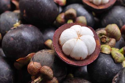 Mangostão (Garcinia mangostana) fruta - Imagem de taboty por Pixabay -  (crédito: - Imagem de taboty por Pixabay)