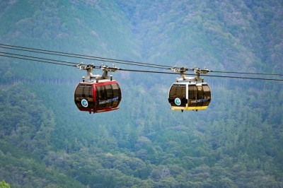 Um casal de idosos da Malásia viajou mais de 370 km para fazer um passeio de teleférico que tinham descoberto na internet, mas ao chegarem no local tiveram uma surpresa.  -  (crédito: K Soma/Unsplash)