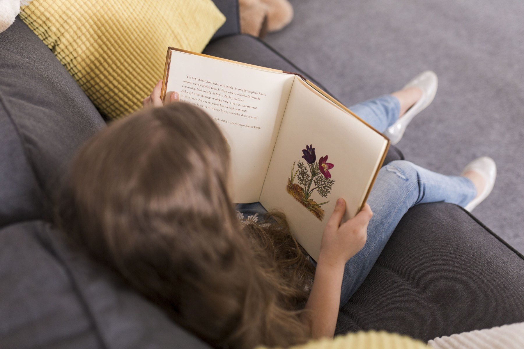 Livros indicados pela Fluency Academy ajudam iniciantes - DINO