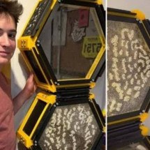 Adolescente cria colmeia 3D e abriga 40 mil abelhas dentro do quarto - ReproduÃ§Ã£o redes sociais 