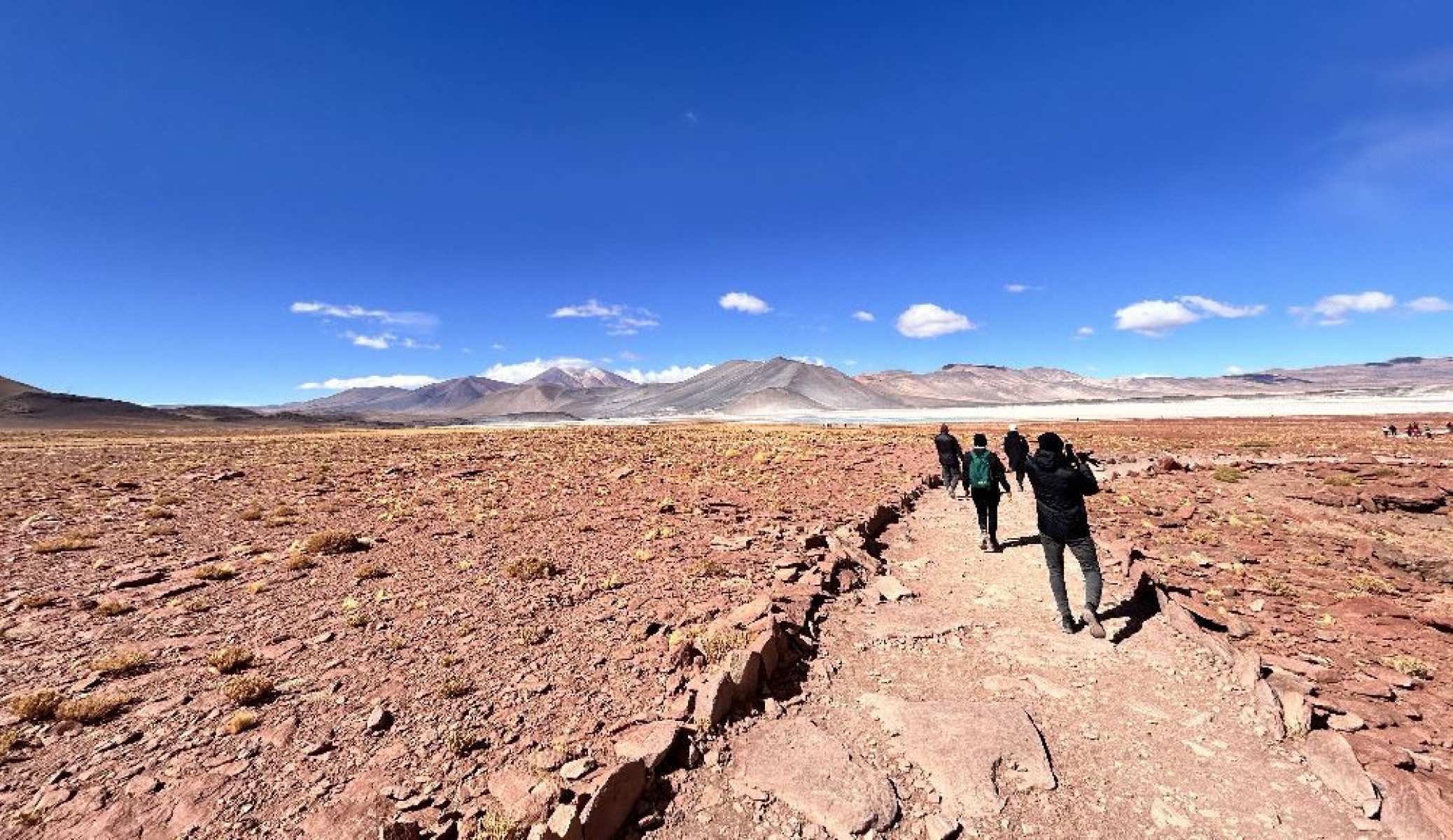  Em Piedras Rojas e no caminho até o local é possível também avistar parte da fauna bastante específica do Atacama

-Bernardo Estillac/EM