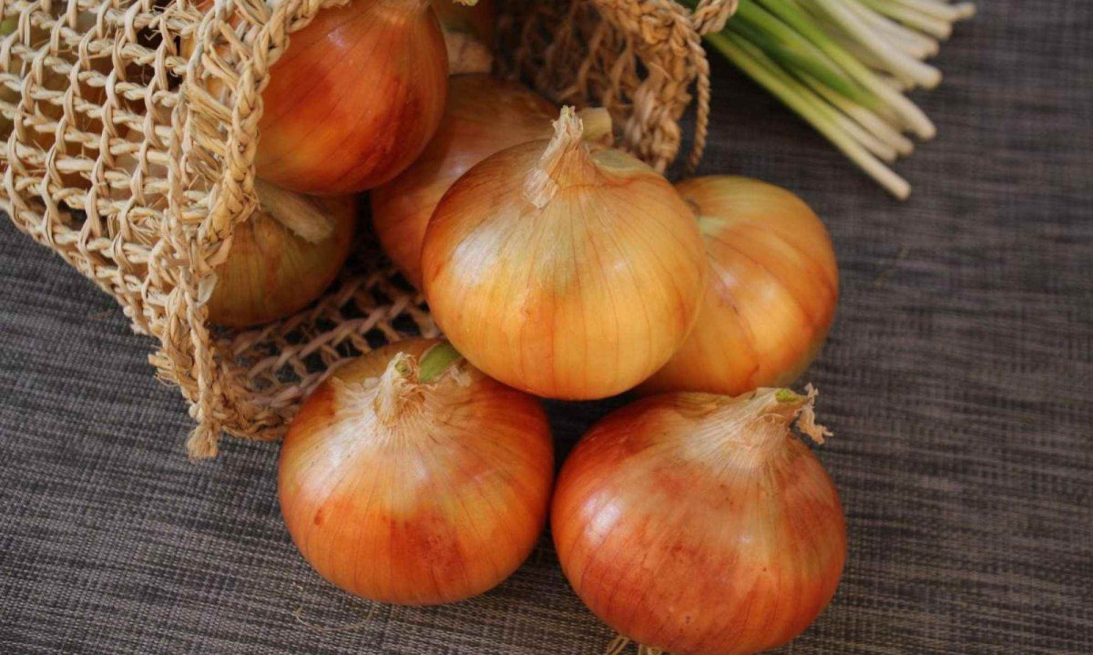  tingir tecidos com casca de cebola 