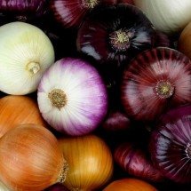 Sabia que casca de cebola pode virar corante para tecido? - WebTechExperts de pixabay