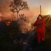 Grande BH: incêndio criminoso às margens da BR-381 compromete visibilidade