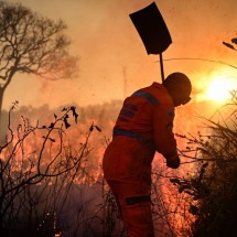 Veja fotos de incêndio florestal na BR-381, na Grande BH