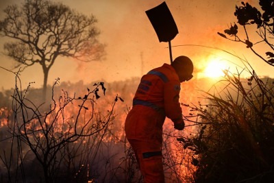Equipe do Estado de Minas flagra incêndio na BR-381, em Caeté, na Região Metropolitana de BH  -  (crédito: Leandro Couri/EM/D.A.Press.Brasil.MG)