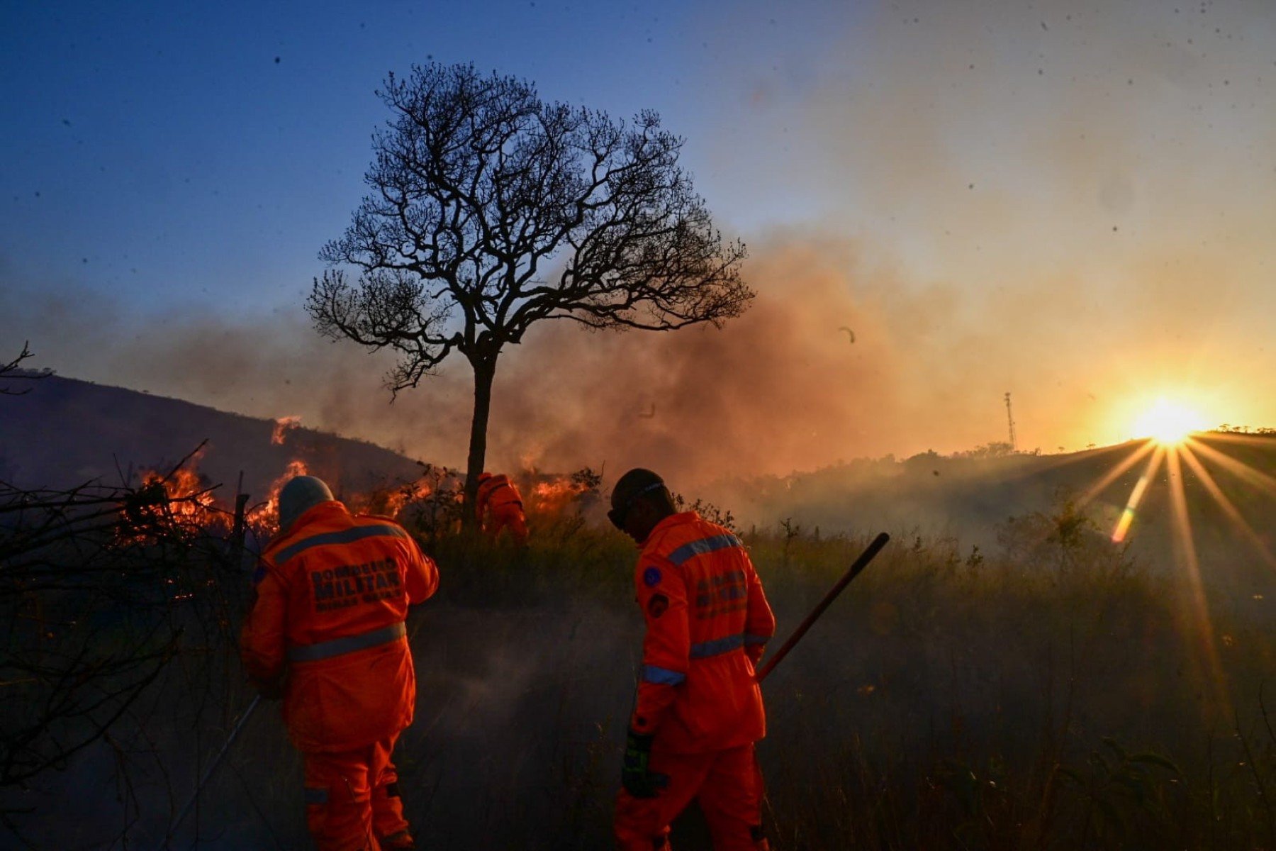 Equipe do Estado de Minas flagra incêndio na BR-381, em Caeté, na Região Metropolitana de BH