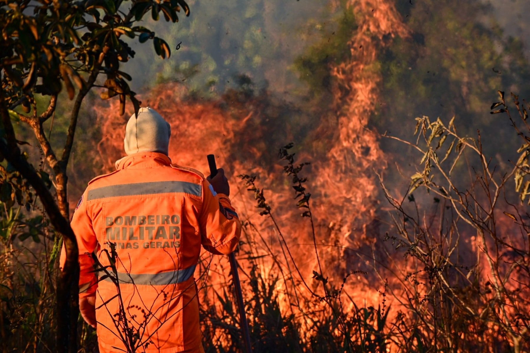 Equipe do Estado de Minas flagra incêndio na BR-381, em Caeté, na Região Metropolitana de BH
