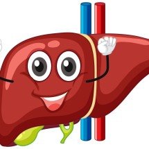Especialista esclarece quando o transplante de fígado é necessário; entenda - brgfx/FreePik