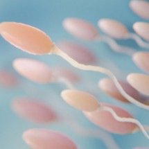 Tomar menos refrigerante e bebidas açucaradas protege fertilidade masculina - Freepik