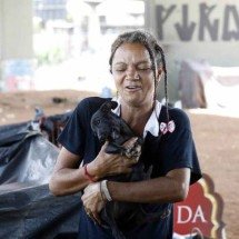 BH: mil cães e gatos podem ser castrados gratuitamente a partir de agosto  - Divulgação/PBH