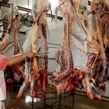 Lei brasileira tem medidas para preservar empregos contra tarifas de Trump -  Angela Peres/Secom-AC