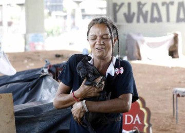 Segundo o Executivo, do total, 30 procedimentos mensais vão ser reservados para animais resgatados que chegam diretamente à Subsecretaria Municipal de Bem-Estar Animal -  (crédito: Divulgação/PBH)