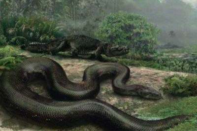 Em um passado distante, cobras de proporções colossais dominaram uma ampla variedade de habitats, desde densas florestas tropicais até até a vastidão dos oceanos. -  (crédito: Divulgação/Universidade da Flórida)