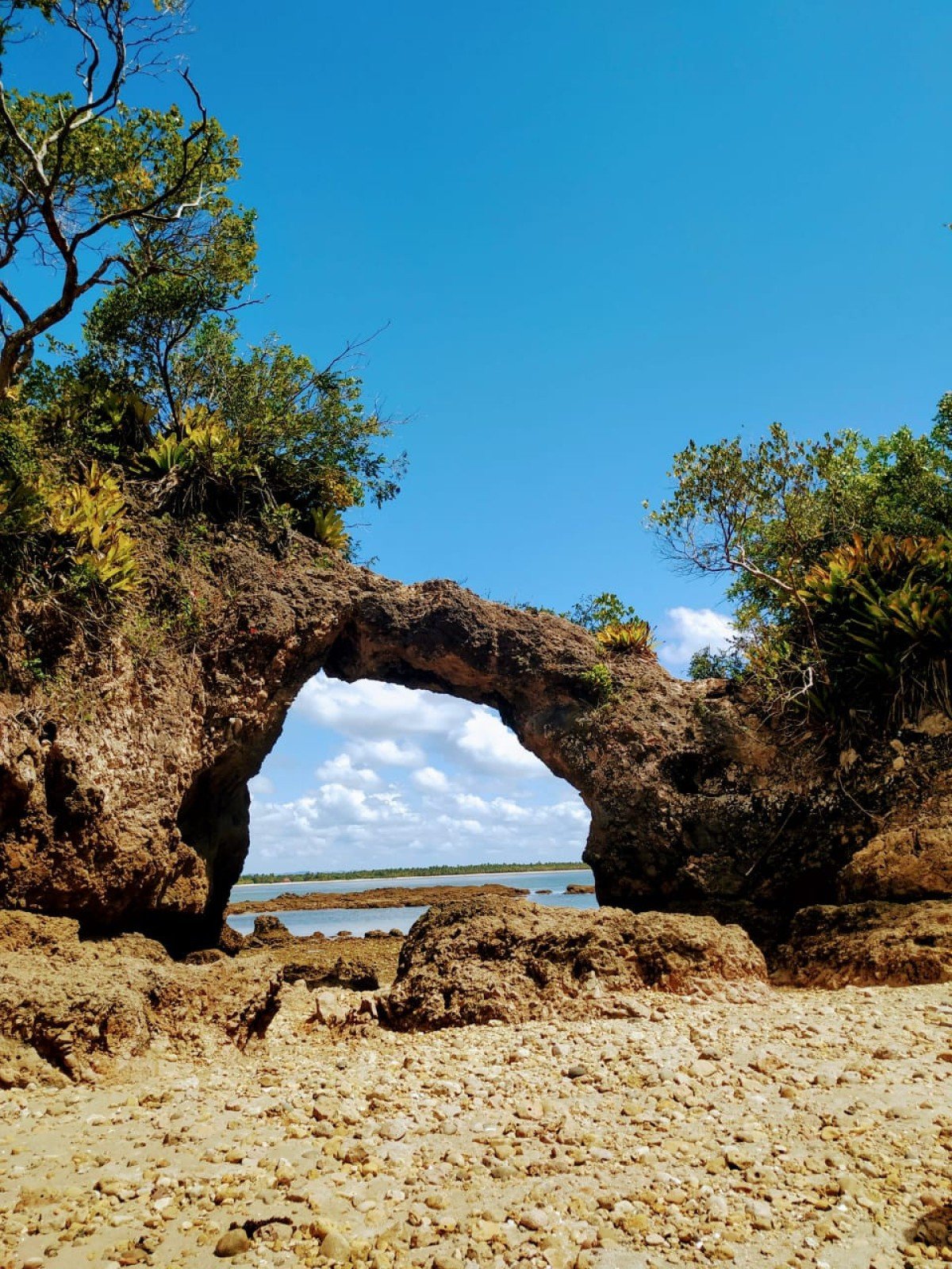 Turismo redefine paisagem urbana e relações econômicas em Ilhéus - DINO