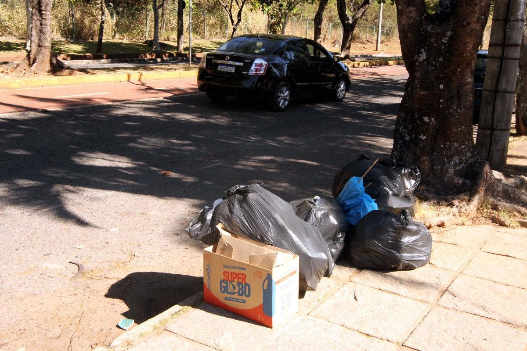 Moradores da Avenida José do Patrocínio Pontes, no Bairro Mangabeiras reclamam que coleta de lixo não tem sido realizada regularmente -Jair Amaral/EM/D.A Press