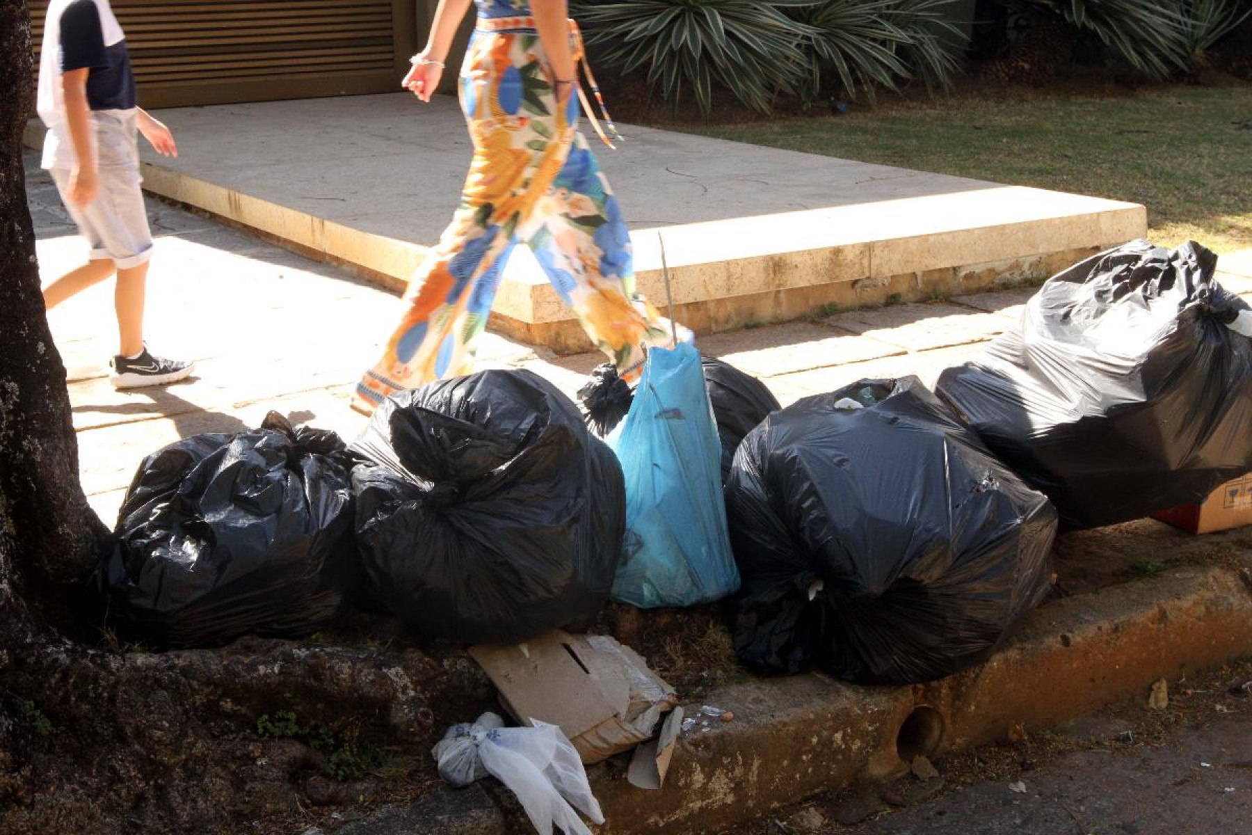 Moradores da Avenida José do Patrocínio Pontes, no Bairro Mangabeiras reclamam que coleta de lixo não tem sido realizada regularmente -Jair Amaral/EM/D.A Press