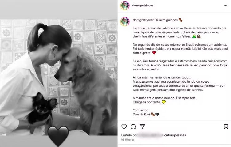 Brasileira leva cachorro para ‘conhecer neve’ e morre em acidente de carro na Argentina - Reprodução/Instagram
