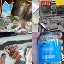 MG: polícia descobre plantação de maconha 'gourmet' vendida a R$ 8 mil o kg - PCMG
