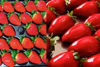 Marketing de oportunidade adoça  caixa do varejo com sabor morango 