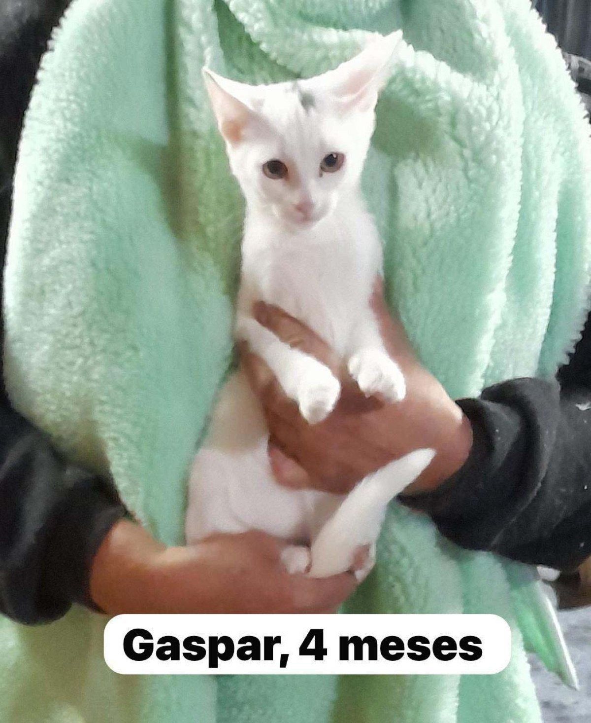 Gaspar, 4 meses