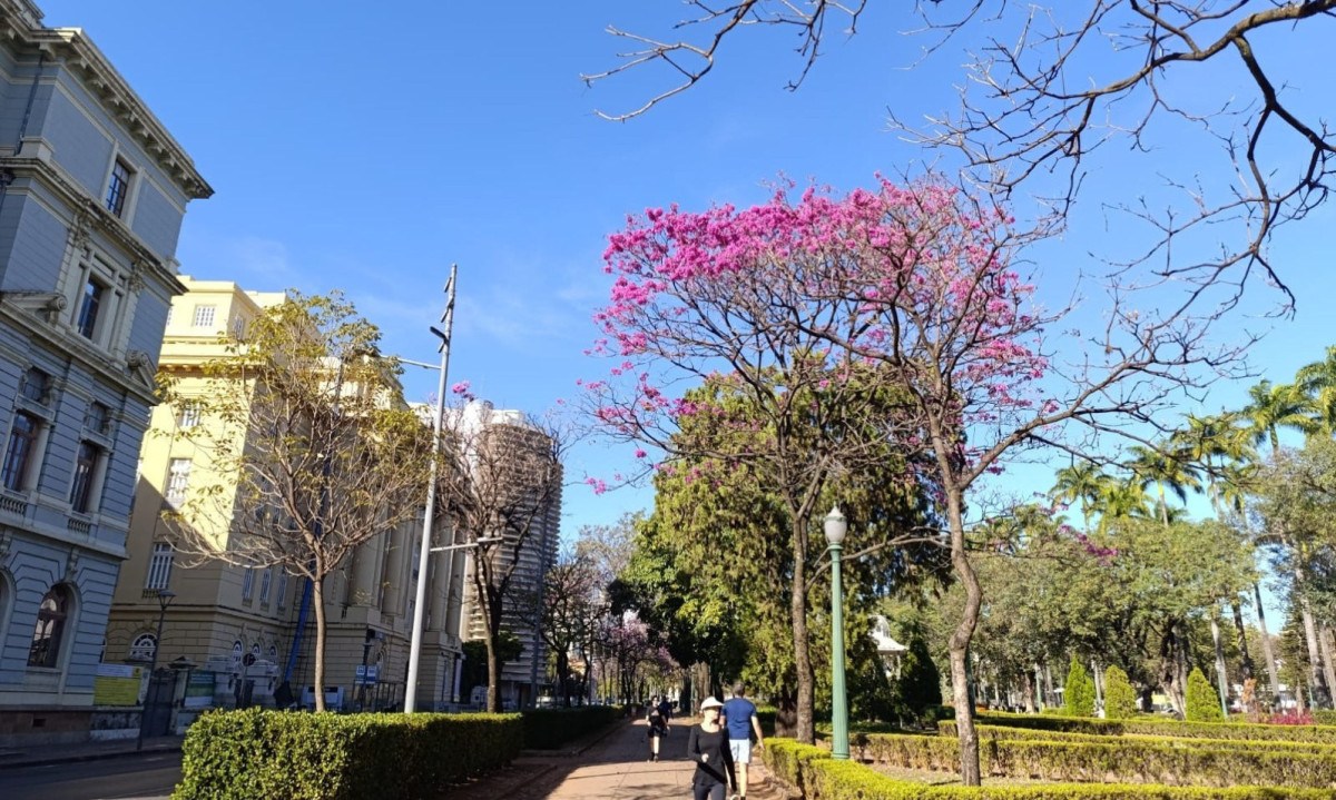 Fim de semana será de céu claro e frio em Belo Horizonte-Alexandre Guzanshe/EM/D.A Press