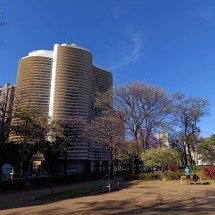 Confira a previsão do tempo para este domingo (3/8) em BH e MG - Alexandre Guzanshe/EM/D.A Press